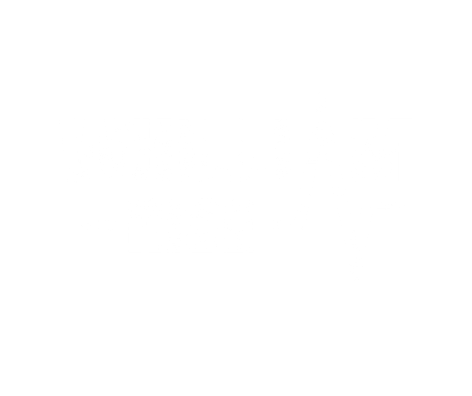 לוגו WHILLIAM RISE בעיצוב טיפוגרפי לבן על רקע שחור עם אלמנט גל סאונד דינמי